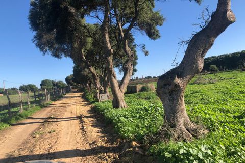 Terra a Barbate, Cadiz, Barbate - € 480.000 | Ref: vc 191 - foto 5